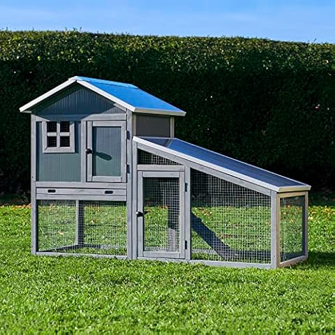 Top 5 Best Plastic Guinea Pig Hutches in 2023 - FindThisBest (UK)