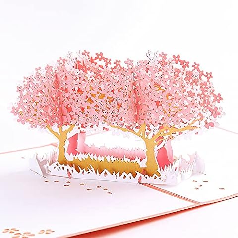 3D POP UP feature image