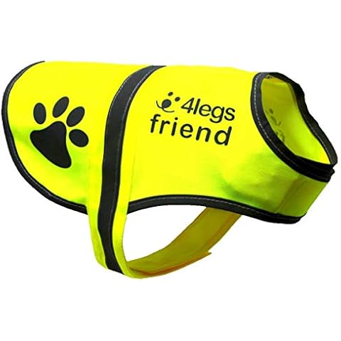 4LegsFriend feature image