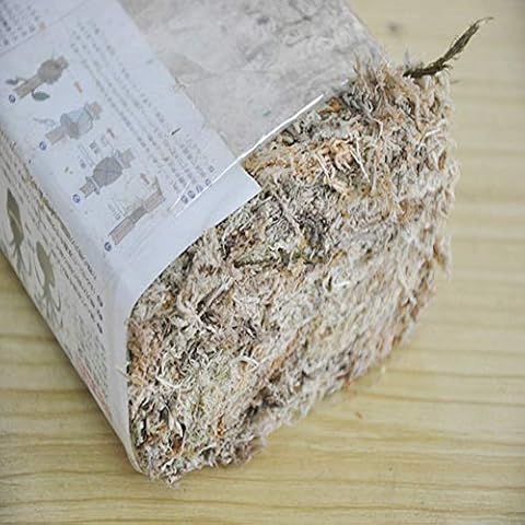 ACAREY feature image