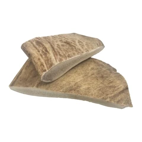 Ace Antlers feature image