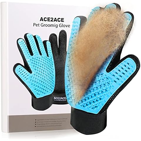 ACE2ACE feature image