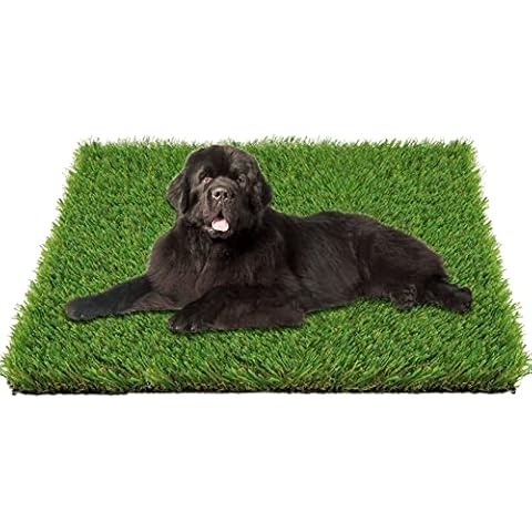 Aimdorarchery feature image