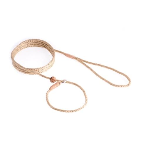 Al Valley feature image