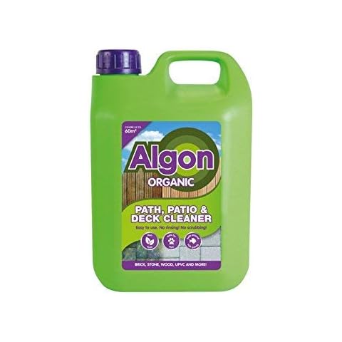 Algon feature image
