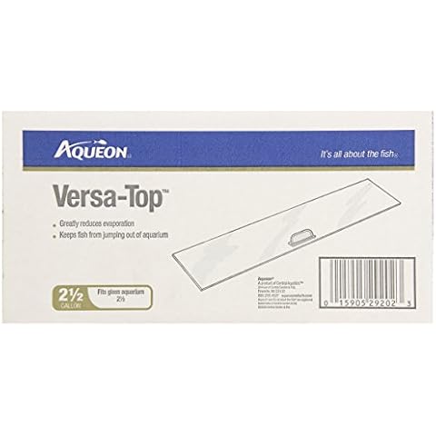 All Glass Aquariums feature image