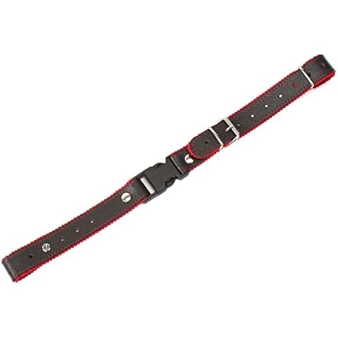 Alpenklang feature image