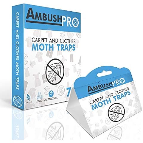 Ambush Pro feature image