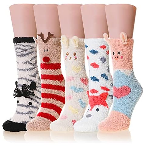 AMENLAN feature image