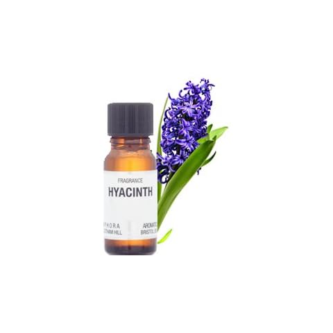 Amphora Aromatics feature image