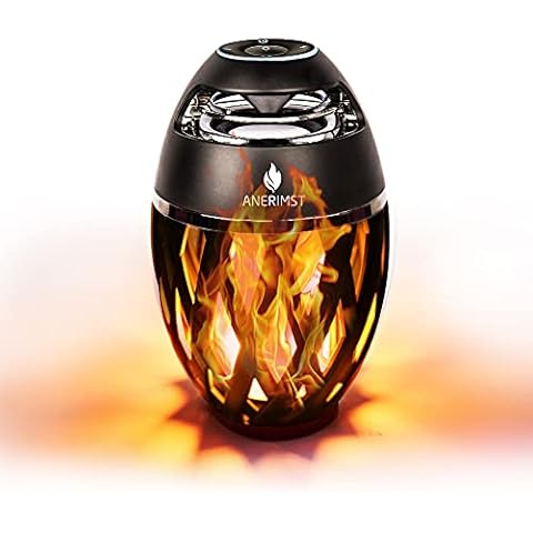 ANERIMST feature image