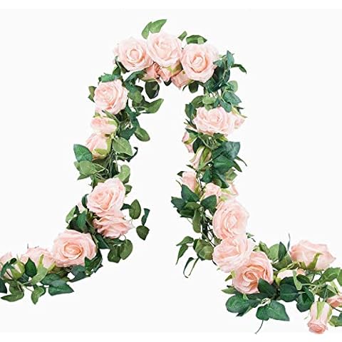 Anforsun feature image