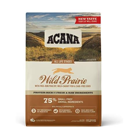 Animo Concept feature image