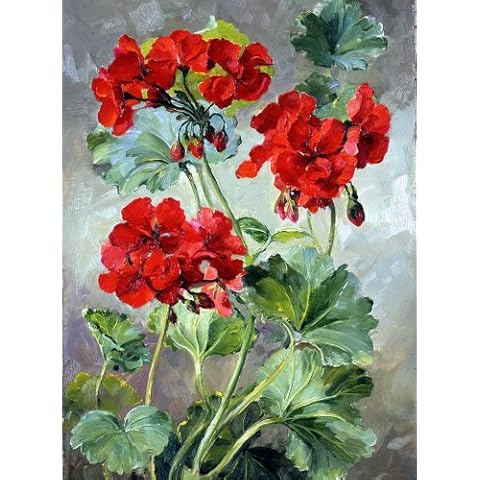 Anne Cotterill Flower Cards feature image