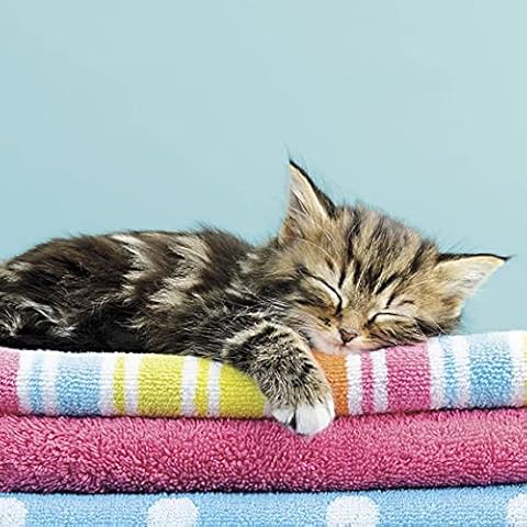 Any Occasion feature image