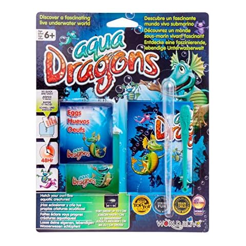 Aqua Dragons feature image