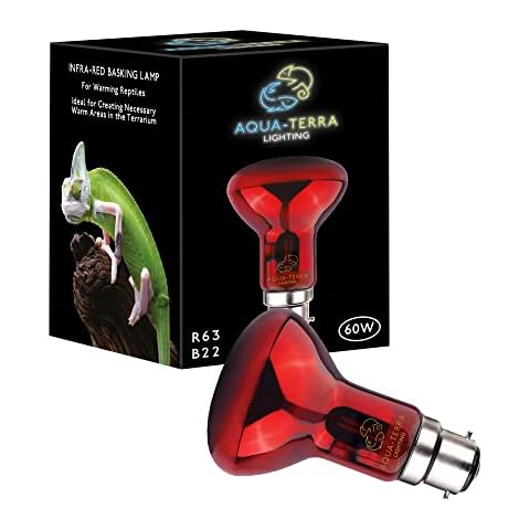 Aqua-Terra Lighting feature image