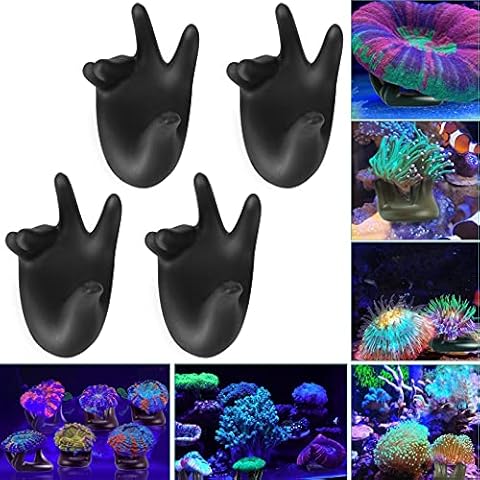 Aquarium Choice thumbnail