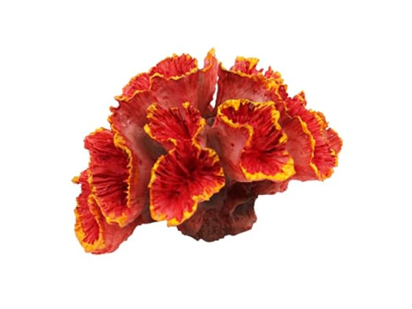 Aquarium Corals Thumbnail