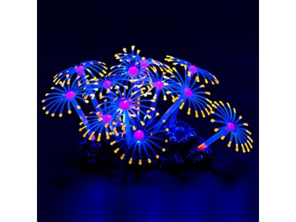 Aquarium Corals Thumbnail