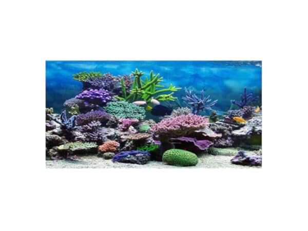Aquarium Décor Backgrounds Thumbnail