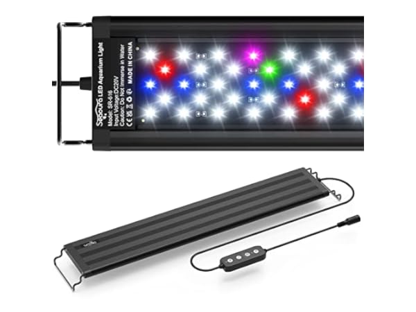 Aquarium Lights Thumbnail