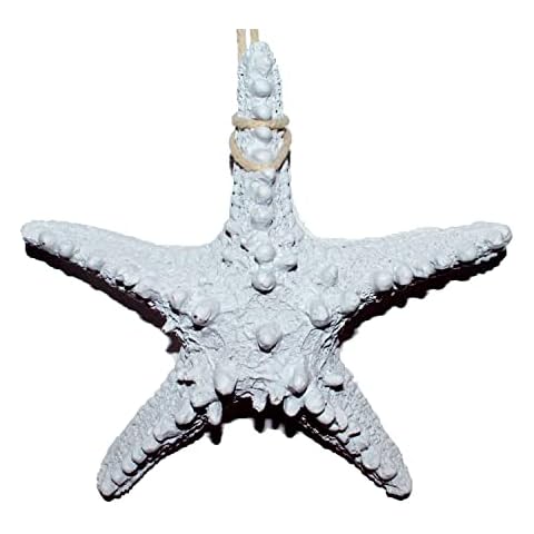 AREBOLO feature image