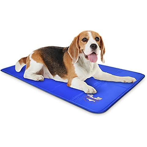 Arf Pets feature image