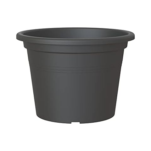 Artevasi feature image
