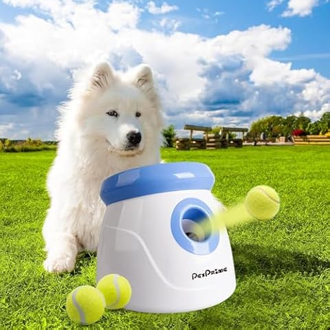 Automatic Ball Launchers for Dogs