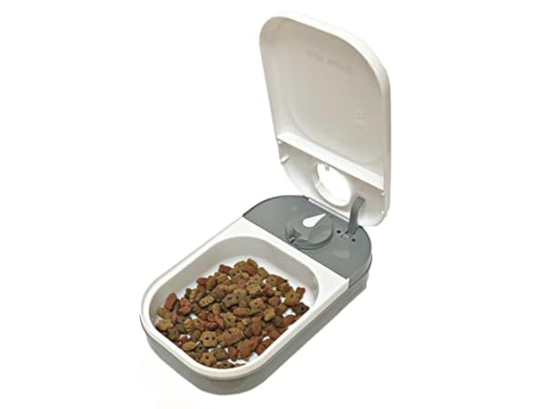 Automatic Feeders for Dogs Thumbnail
