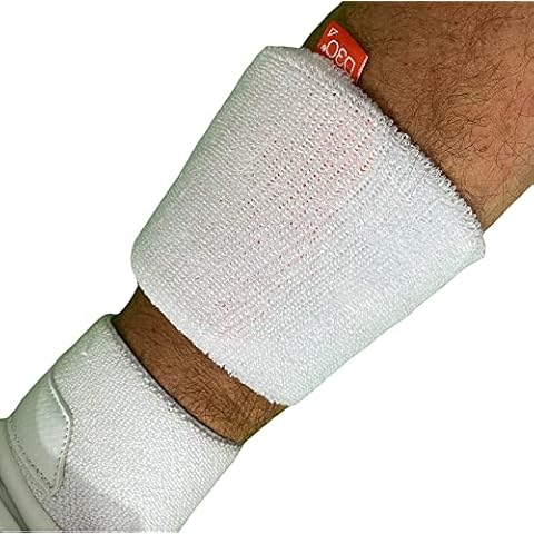 Ayrtek Cricket feature image