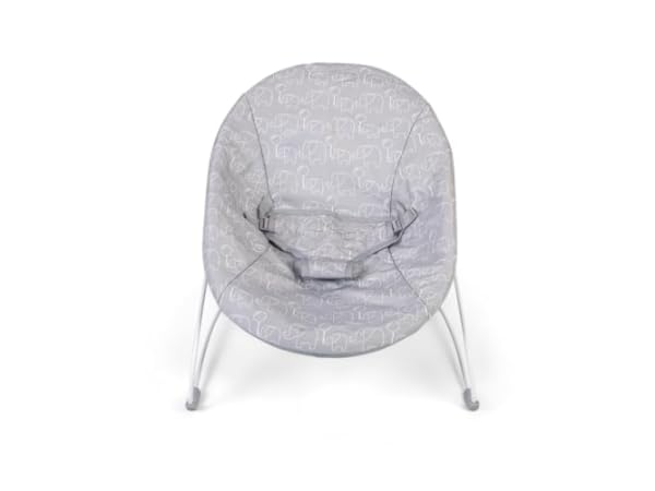 Baby Swings & Chair Bouncers Thumbnail