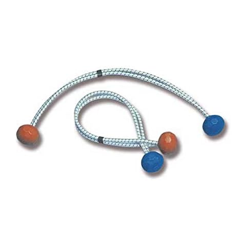 Bainbridge Marine feature image