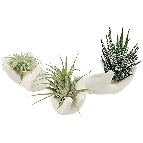 BALANSOHO feature image