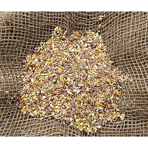 Bamfords feature image