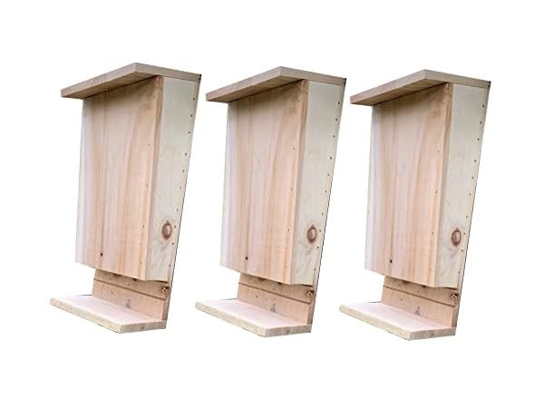 Bat Houses Thumbnail