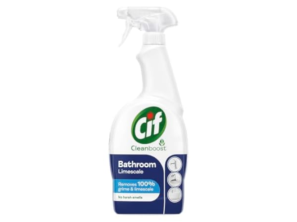 Bathroom Cleaners Thumbnail