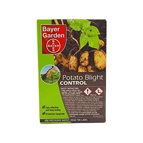 Bayer Garden feature image