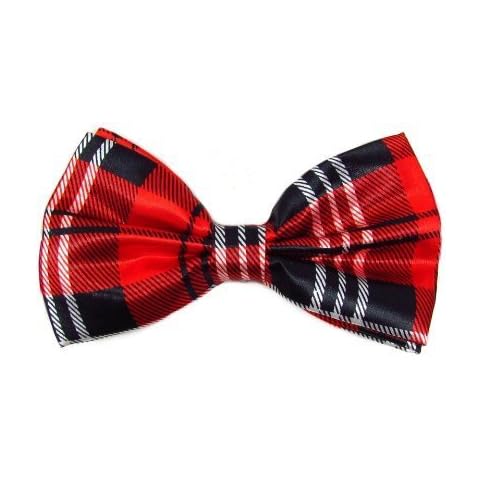 BB Accessories feature image