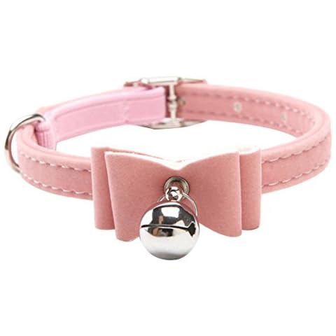 BbearT feature image