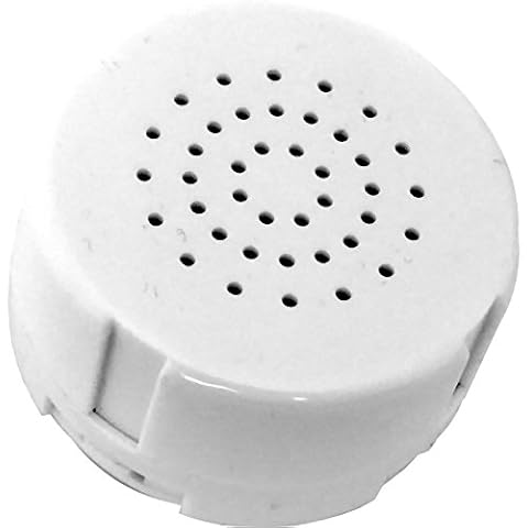 Be My Bear feature image