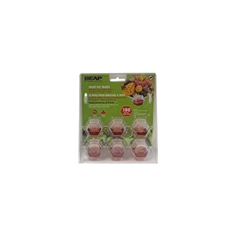 BEAPCO feature image