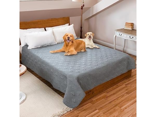 Bed Covers for Dogs Thumbnail