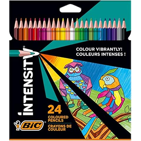BIC Intensity feature image