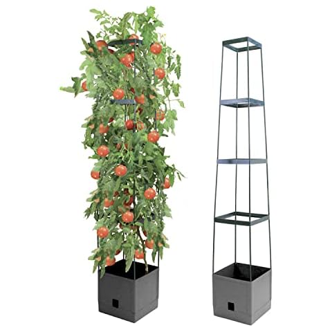 Bio Green feature image