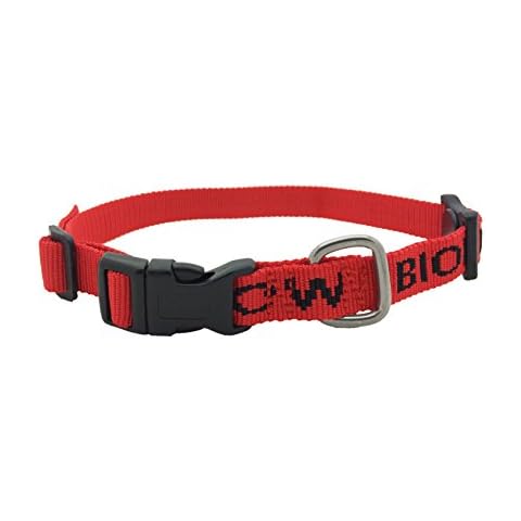 Bioflow feature image