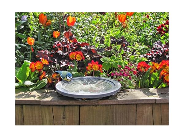 Bird Baths for Birdcages Thumbnail