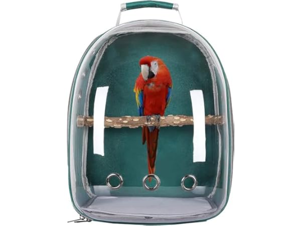 Bird Carriers Thumbnail