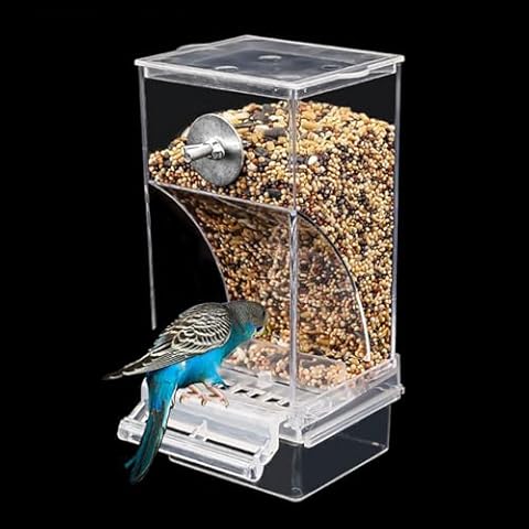 Bird Feeders